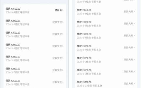 随身贷每日坚持申请终复借成功，3500 元顺利下款，决心踏实工作还清欠款