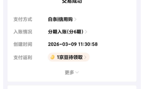 京东白条 6000 付费额度解锁成功：买车票恢复使用，5600 元下单手机分 6 期入账