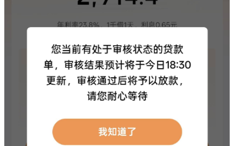 京东金条多次秒拒后改金额迎审核：审核中待 18:30 更新结果。