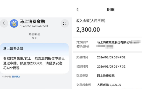 安逸花获批 2300 元额度终下款：此前出额未到账，本次申请直接秒到账