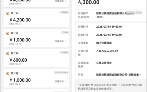 长银消金畅开花成功下款 4300 元，征信查询多也能过，申请细节与常见问题全分享