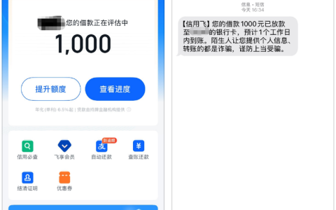 信用飞 1000 元借款申请秒过，征信花无逾期也能批，申请细节与会员相关问题全梳理