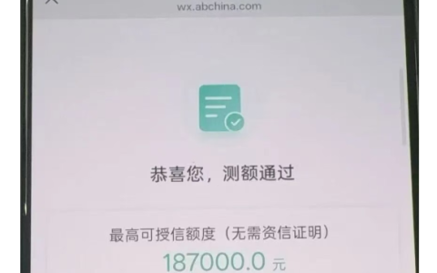 农业银行乐分易征信要求全解析，申请条件、办理流程与批款案例参考
