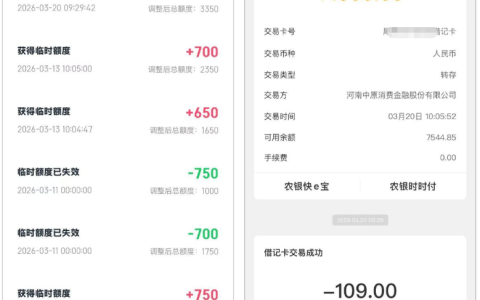信用飞提额卡实操分享：109 元购买提额 1000 元，40 分钟完成放款，资方中原消费金融申请细节全解析