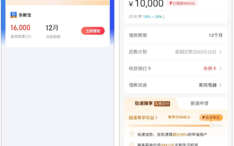 东新宝借款产品详情、会员费规则、申请风险及避坑要点全解析