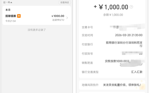 招联金融成功下款 1000 元，申请实操细节、资质要求及下款注意事项全解析