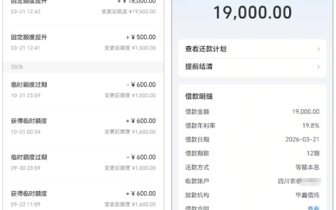 放心借更新个人信息成功提额 18500 元，提额实操技巧及申请细节全解析