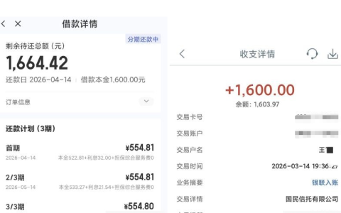 接到宜口袋额度邀请电话申请成功下款 1600 元，国民信托资方、先用后付权益与申请细节全解析