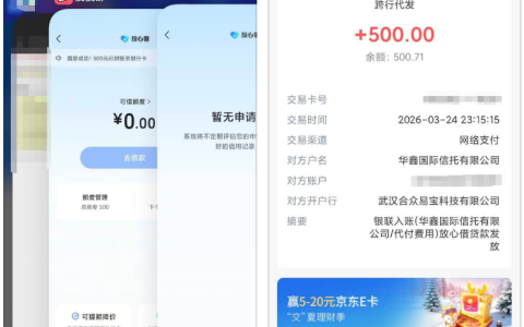 皮皮虾放心借跟风成功下款 500 元，抖音端未同步额度的实操细节全解析