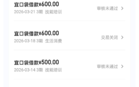 宜口袋 21 日申请湖北消金放款 2100 元，凌晨到账、审核时长与征信要求全解析