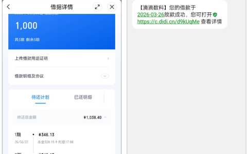 滴滴滴水贷推多次终下款 1000 元，征信更新 + 资方变更的申请实操全解析