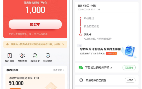 好分期万年无额度换手机号下款 1000 元，无需付费权益、大数据花可下的申请技巧全解析