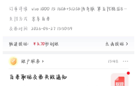 白条注销换号仍仅 100 额度，购物后提至 5000 付费额度，实操细节全解析