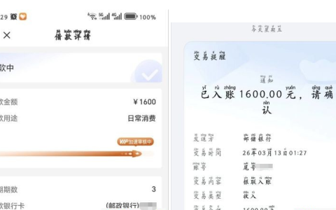 橙心袋开通 136 元会员下款 1600 元，凌晨银联到账、申请流程与会员权益全解析