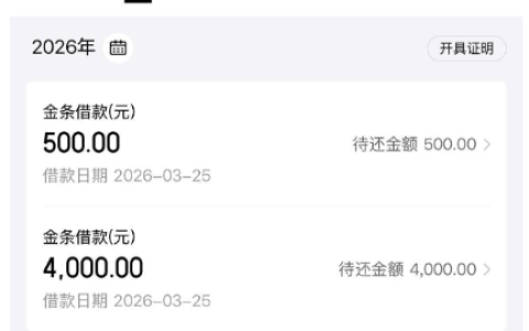 京东金条分两笔下款 4500 元，国民信托中诚双资方匹配，征信账户数影响全解析