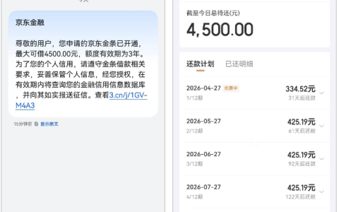 京东金条白条支付后成功开通，获批 4500 元额度，征信多查询也下款的技巧解析