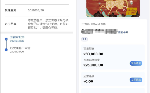 建行正青春卡瑞马承金版成功下卡，1.6w 预审批竟批出 5 万额度