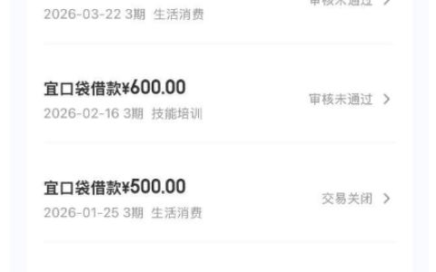 宜口袋申请 800 元额度未通过，征信良好竟匹配 2400 元专项额度，申请即下款