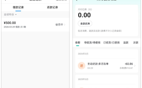 皮皮虾放心借还清月付一年逾期欠款后秒下 500 元，银联入账超顺畅