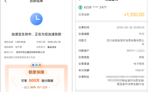 宜享花换两手机号一周申请 5 次终下款 1100 元，开加速会员半小时到账还可退