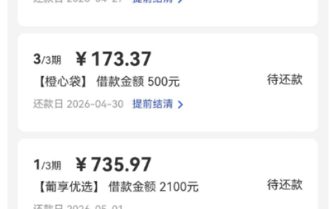 宜口袋葡享优选 1000 元申请半小时跳额 2100 元，开通先享后付十分钟顺利下款