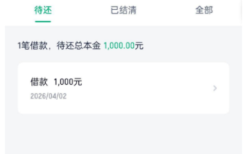 跟风申请滴滴滴水贷顺利下款 1000 元，三分钟完成审核放款，过往逾期结清也能通过