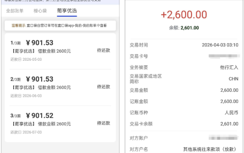 宜口袋葡享优选 1000 元申请被拒，收到提额短信升至 2600 元，开通 199 元先用后付凌晨顺利到账