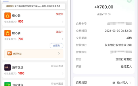 橙心袋第四笔借款 700 元成功到账，申请等待 5 天顺利放款，平台同步发放 500 元专项额度