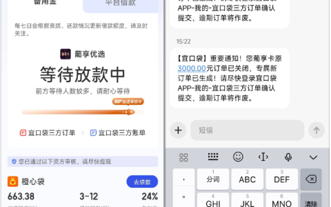 宜口袋葡享优选申请 3000 元额度调整为 2600 元，显示放款中能否顺利到账全梳理