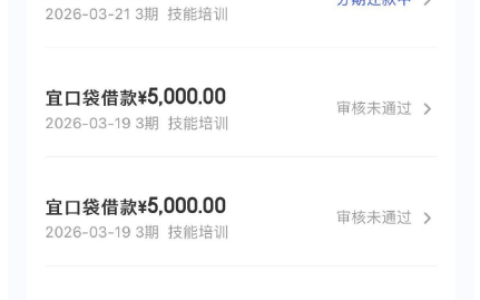 宜口袋等待近十日审核无进展，支付会员费后次日成功放款，新增 4000 元额度正处于行方审核中