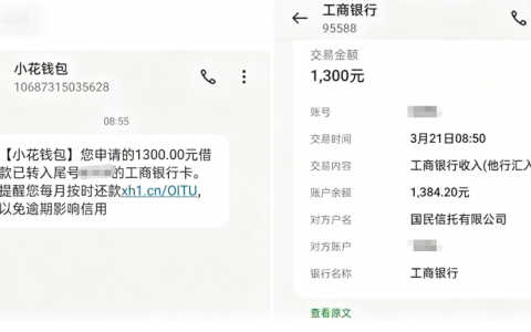 小花钱包有额度分 12 期连续申请失败，调整分期期数为 6 期后，提交申请顺利完成放款到账