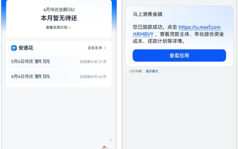 安逸花长期无法申请今日成功放款，获批 8000 额度提现 2000 元，刚好解决金条还款难题