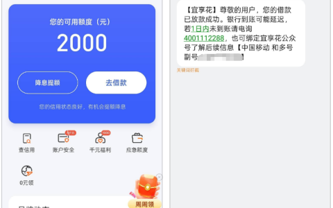 宜享花 3 个账号注销超 20 次，今日成功下款 2000 元，银行资方放款稳定