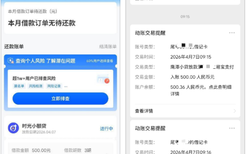 时光分期半夜申请 500 元借款未即时放款，次日清晨成功到账，开通会员后小额借款更易通过
