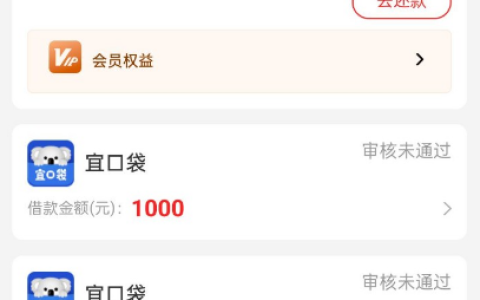 橙心袋小额借款申请条件与放款详情，500 元额度通过率及征信大数据要求真实分享