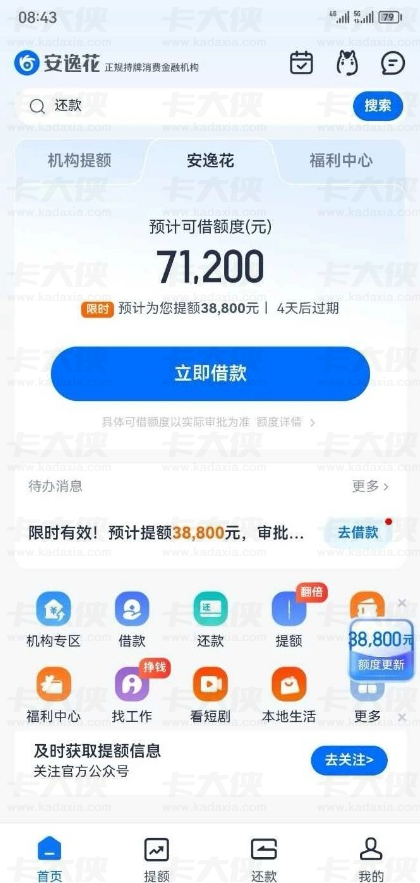 安逸花申请条件与小额通过率详情，花户申请要点及会员开通注意事项分享