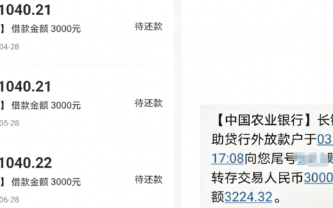 宜口袋葡享优选申请入口与下款详情，3000 元额度申请到到账真实体验分享