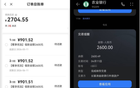 橙心袋葡享优品小额借款易通过，耐心等待放款，规范操作少踩坑