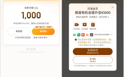 好运柿开通 199 元先用后付会员仍秒拒，1000 元基础额度申请失败，会员与放款无关联