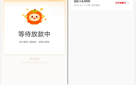好运柿开通先用后付会员提额 3000 元进入行方审核，宜口袋同系列产品下款情况真实分享