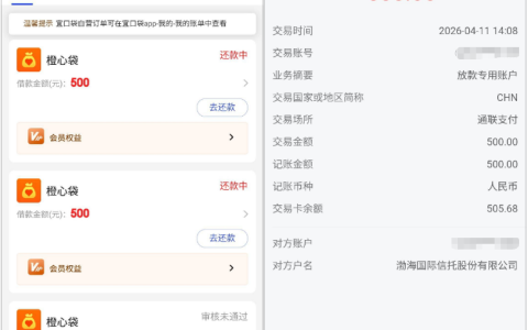 宜口袋逾期后客服协调专项 500 元下款，开通会员加急，两小时即可到账