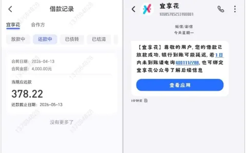 宜享花老账户长期秒拒可成功下款 4000 元，小额保险加速跳过排队，征信查询多也能获批