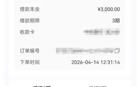好运柿通过宜口袋入口成功下款，资方辽宁振兴银行放款 3000 元，申请便捷放款稳定