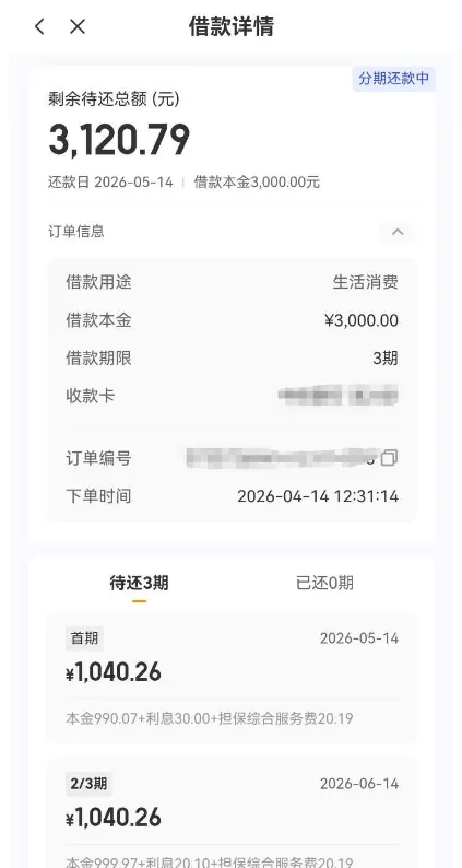 好运柿通过宜口袋入口成功下款，资方辽宁振兴银行放款 3000 元，申请便捷放款稳定