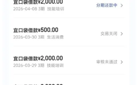 宜口袋开通会员几分钟极速放款，2300 元额度稳定获批，循环多笔分期周转无压力