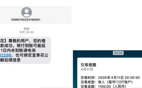 宜口袋 1100 元额度成功下款，两个手机号反复注销十几次，找客服清理账号后获批