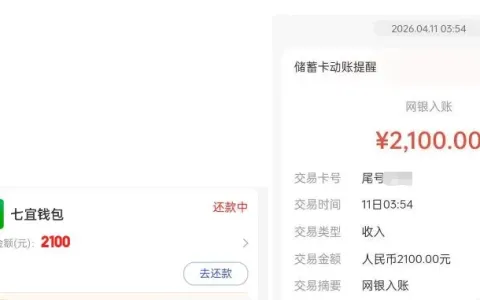宜口袋匹配七宜钱包成功到账，征信当前逾期也能出额，开通权益会员耐心等待即可放款
