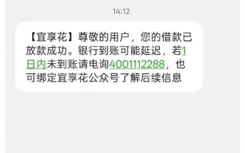 宜享花 1100 元额度成功到账，办理保险后秒批下款，小额扣费与放款流程全透明