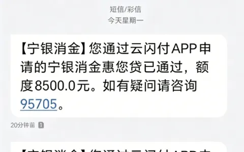 云闪付借钱自动匹配宁银消金，出额 8000 元试借 2000 元秒到账，有逾期代偿也能通过审核