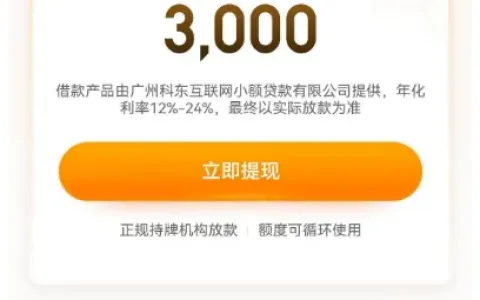 好运柿 APP 申请下载地址，持牌机构放款，1000-3000 元额度申请与审核实测分享